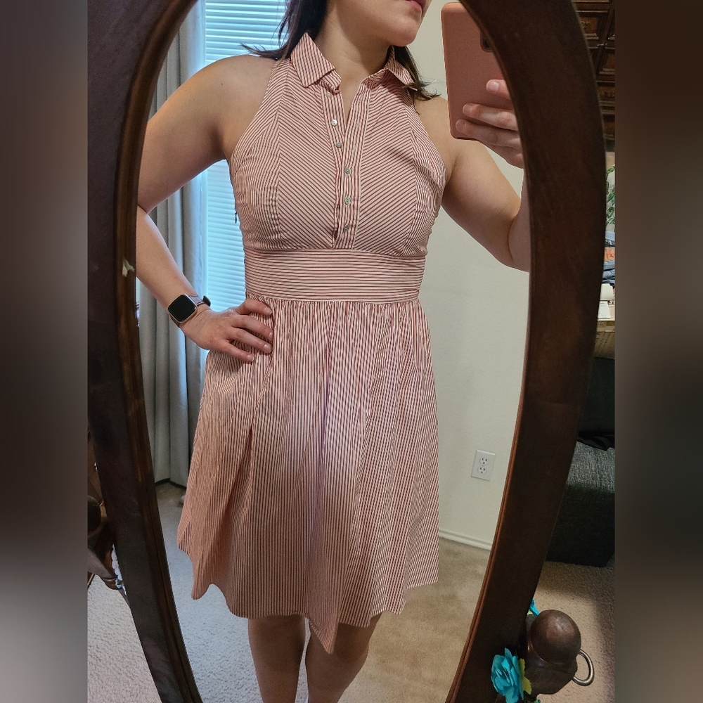 Zara Basic Medium collar dress